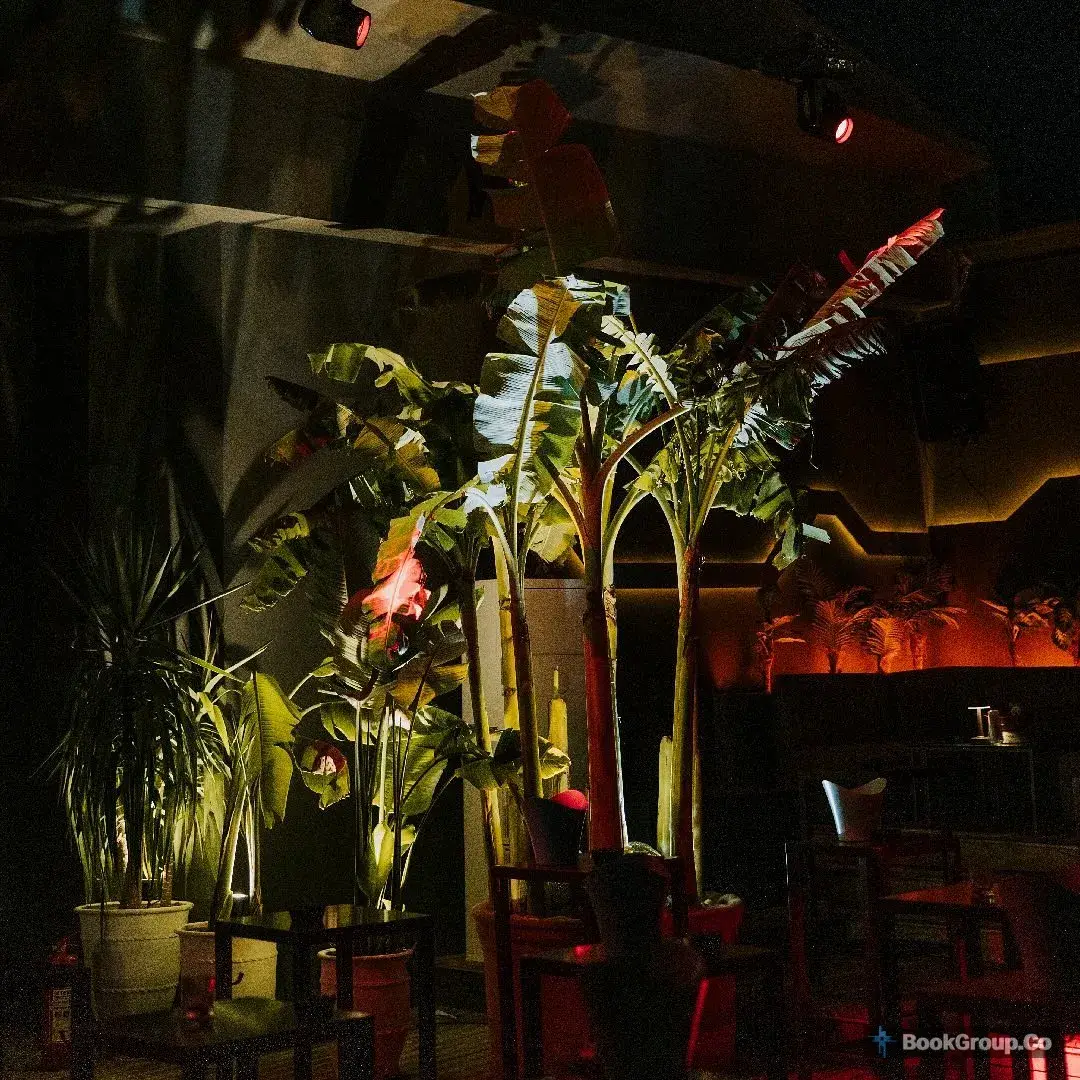 Noola Alaçatı Club fotoğraf 6