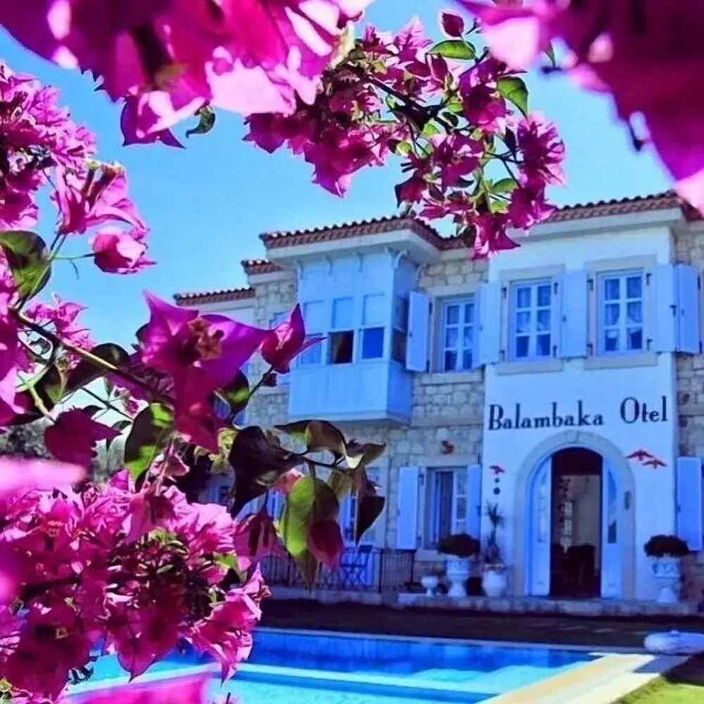 Balambaka Hotel fotoğraf 4