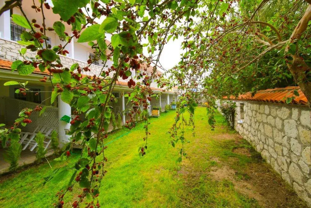 Alasonya Hotel Koyici fotoğraf 5