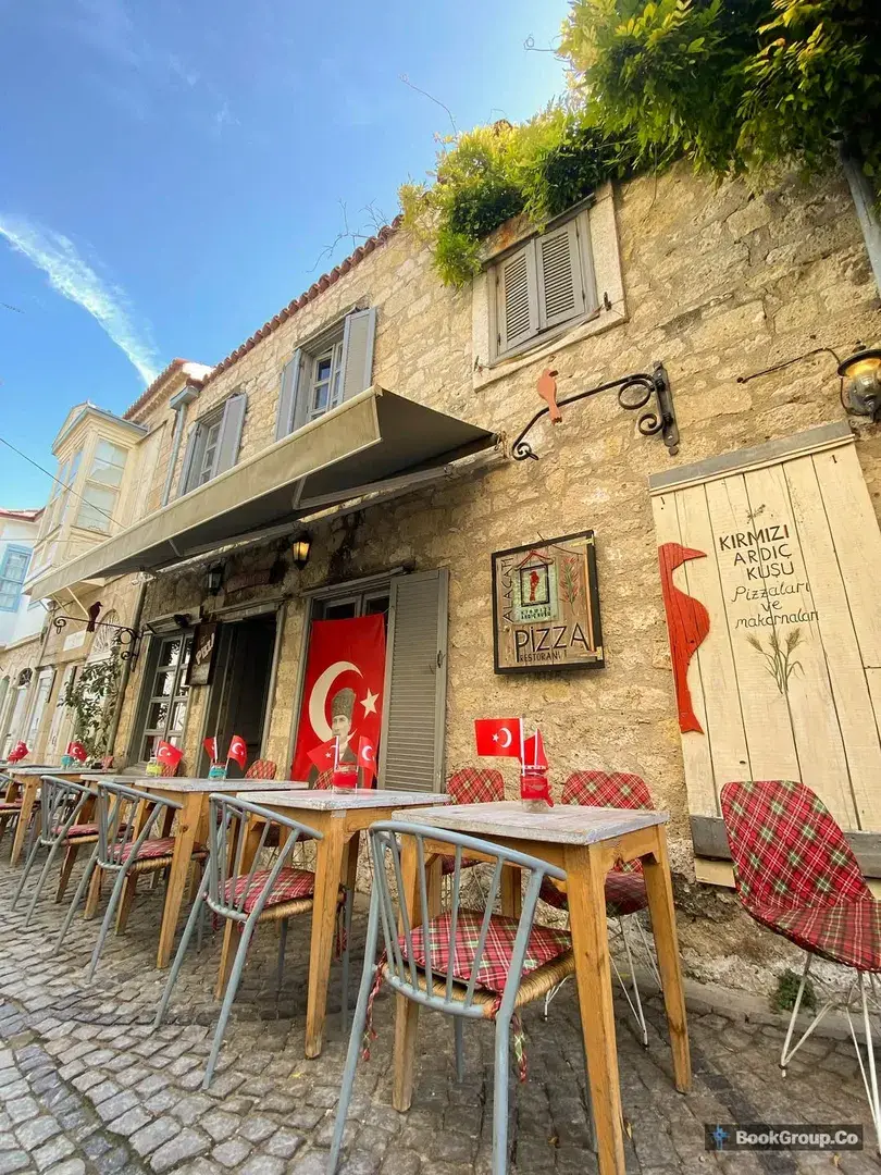Kırmızı Ardıç Kuşu