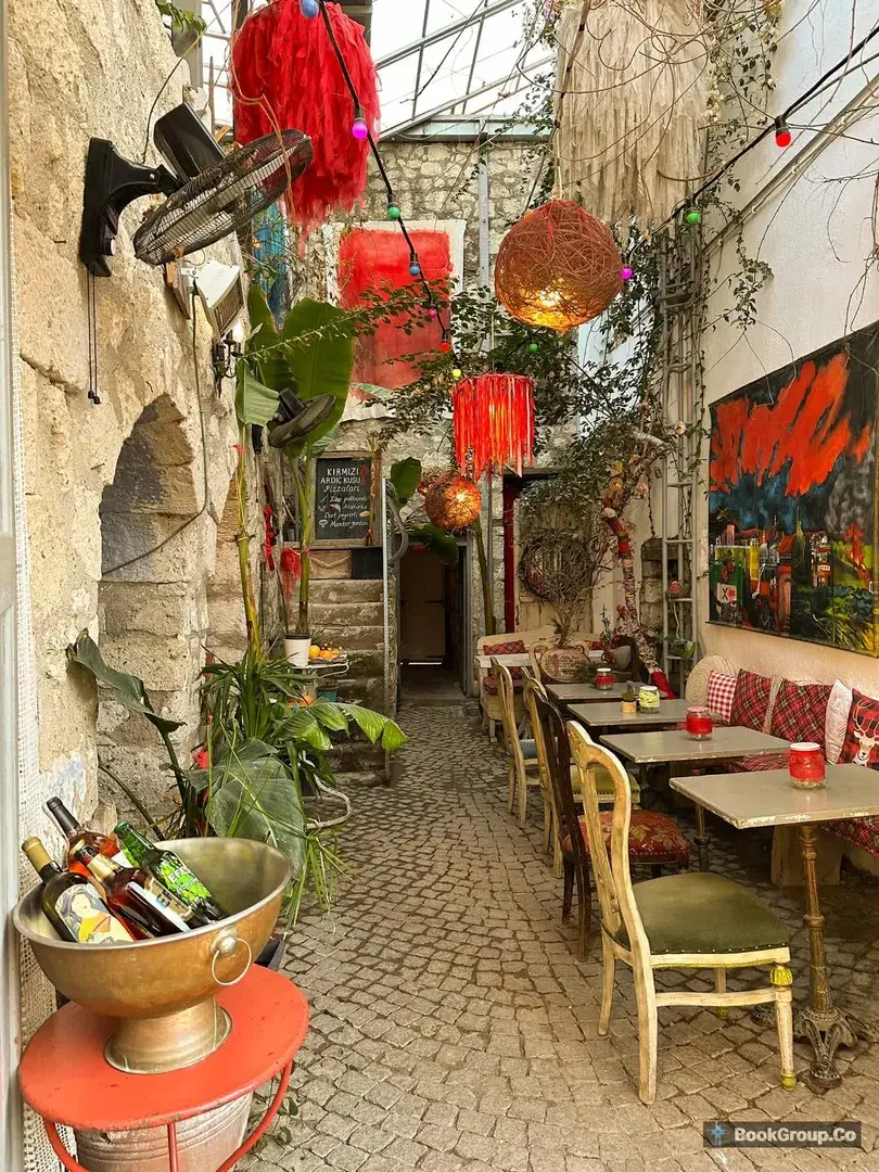 Kırmızı Ardıç Kuşu fotoğraf 2