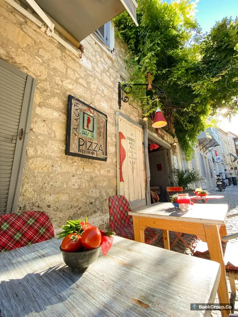 Kırmızı Ardıç Kuşu fotoğraf 7