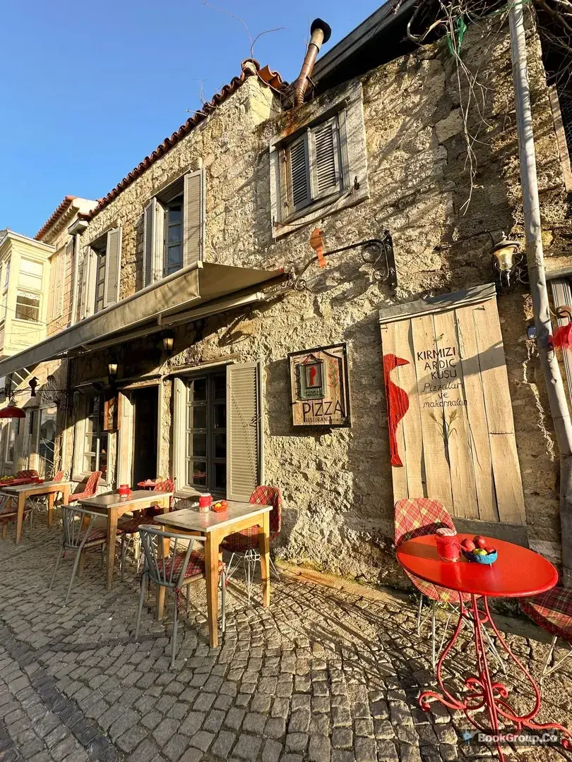Kırmızı Ardıç Kuşu fotoğraf 5