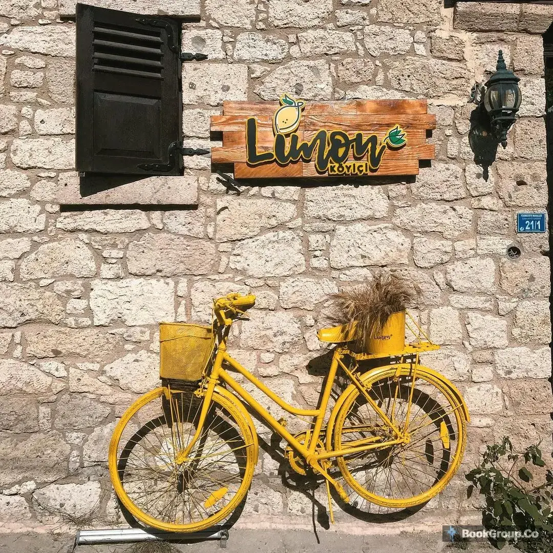 Limon Koyiçi fotoğraf 2