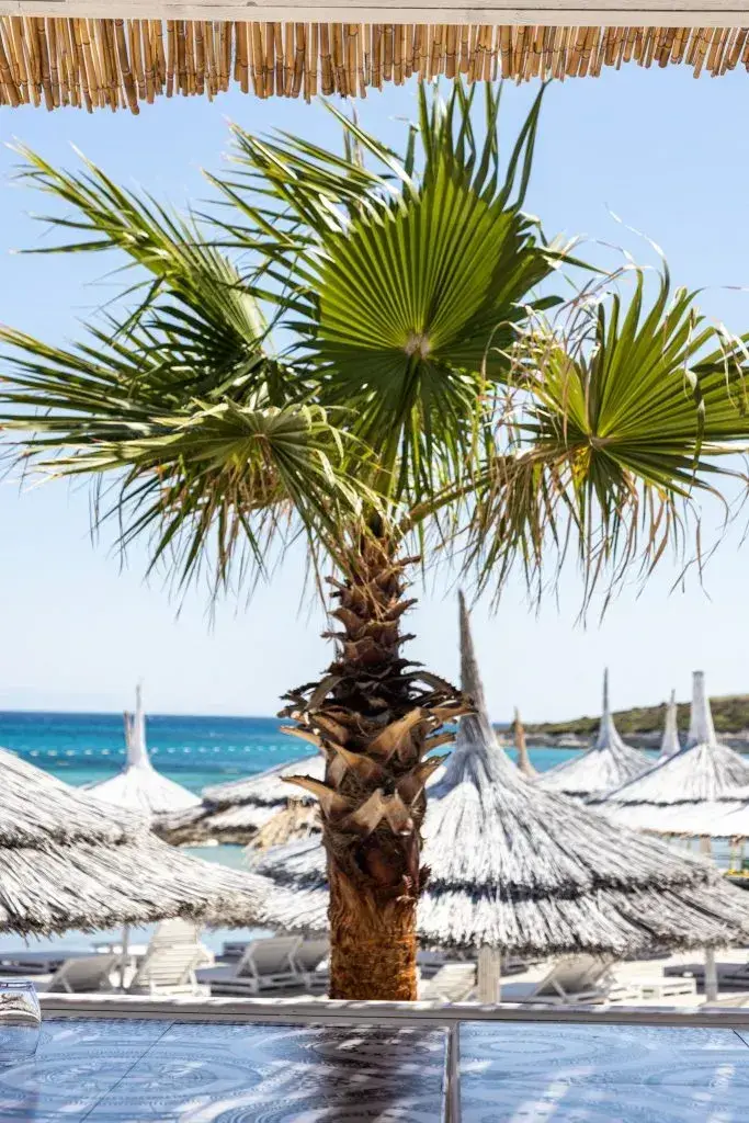 Elias Alaçatı Beach fotoğraf 8
