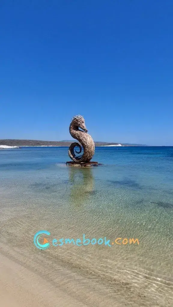 Sommer Klein Beach fotoğraf 6