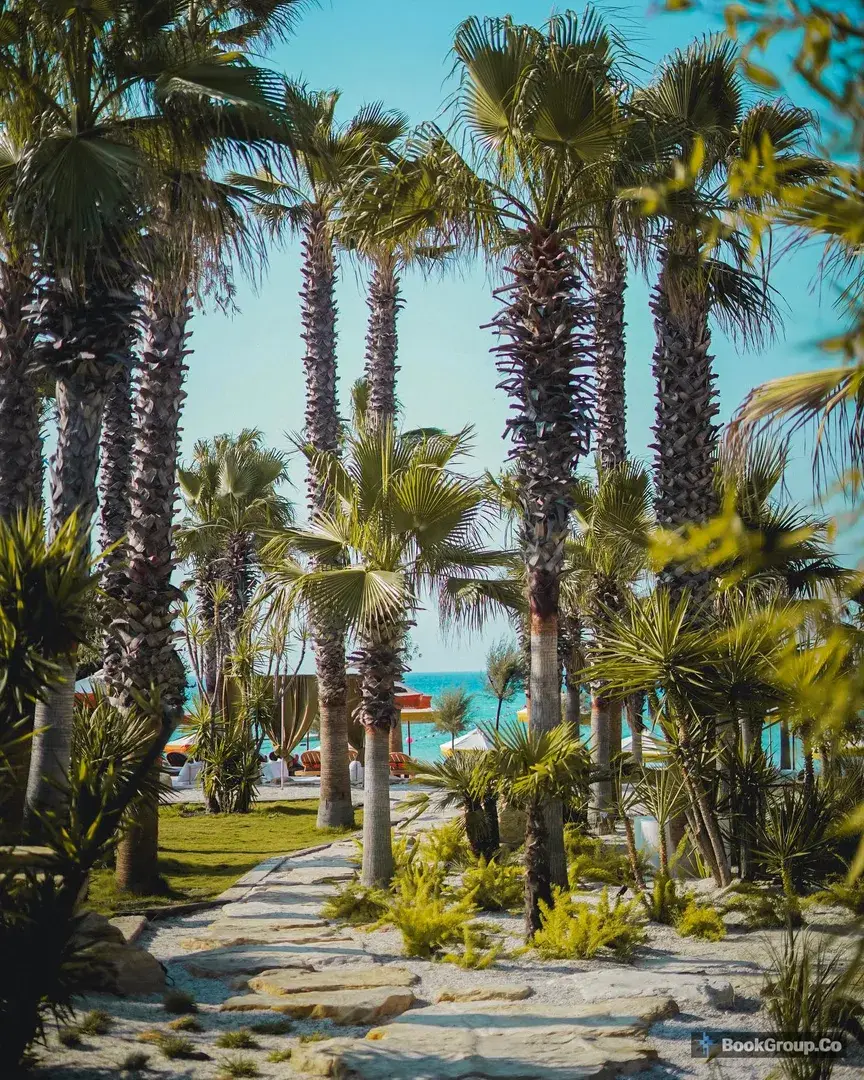 Playa Tropical fotoğraf 15