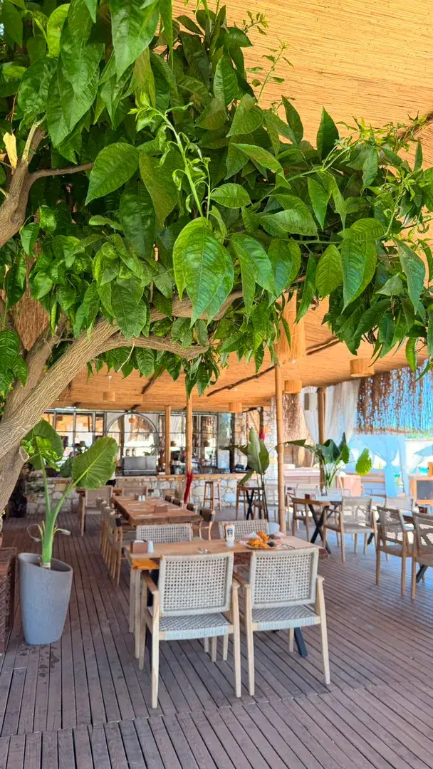 Aura Ayayorgi Beach fotoğraf 13