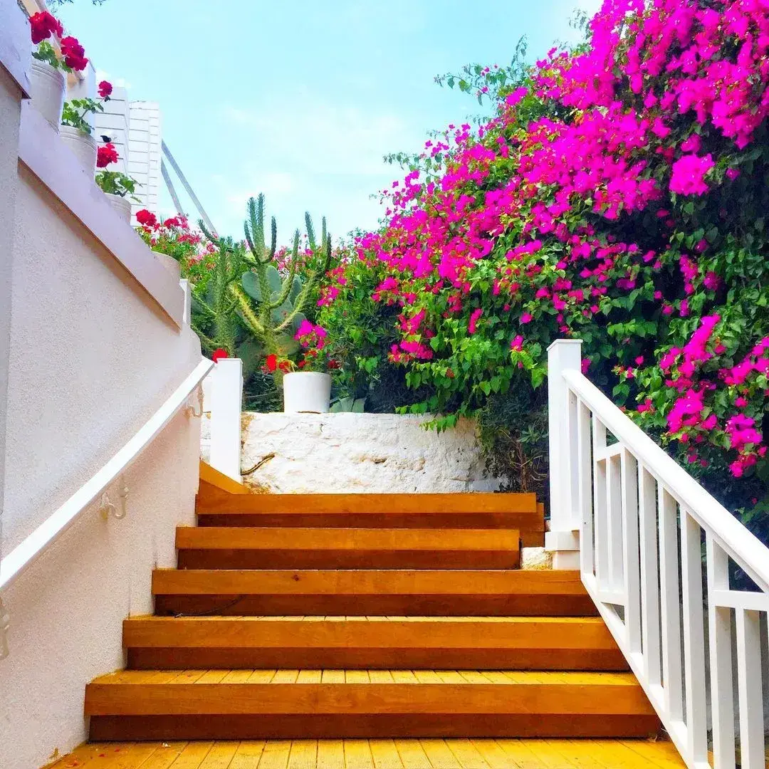 Sole Mare Ayayorgi  fotoğraf 4