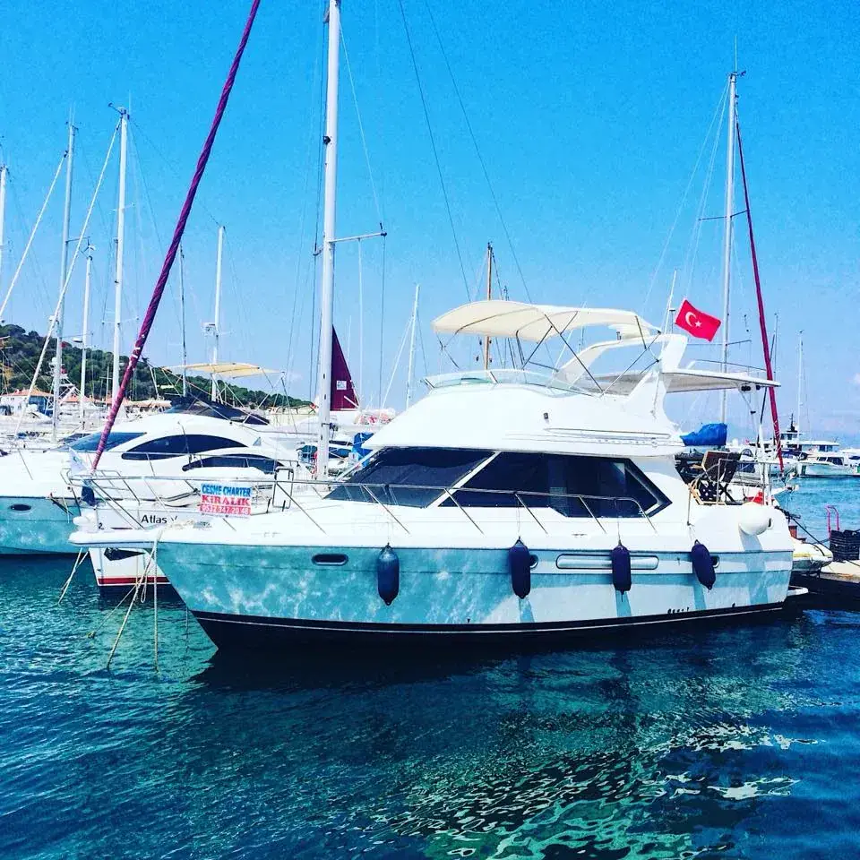 Deda Yacht BAYLINER 3587 :AFT + FLYBRIDGE