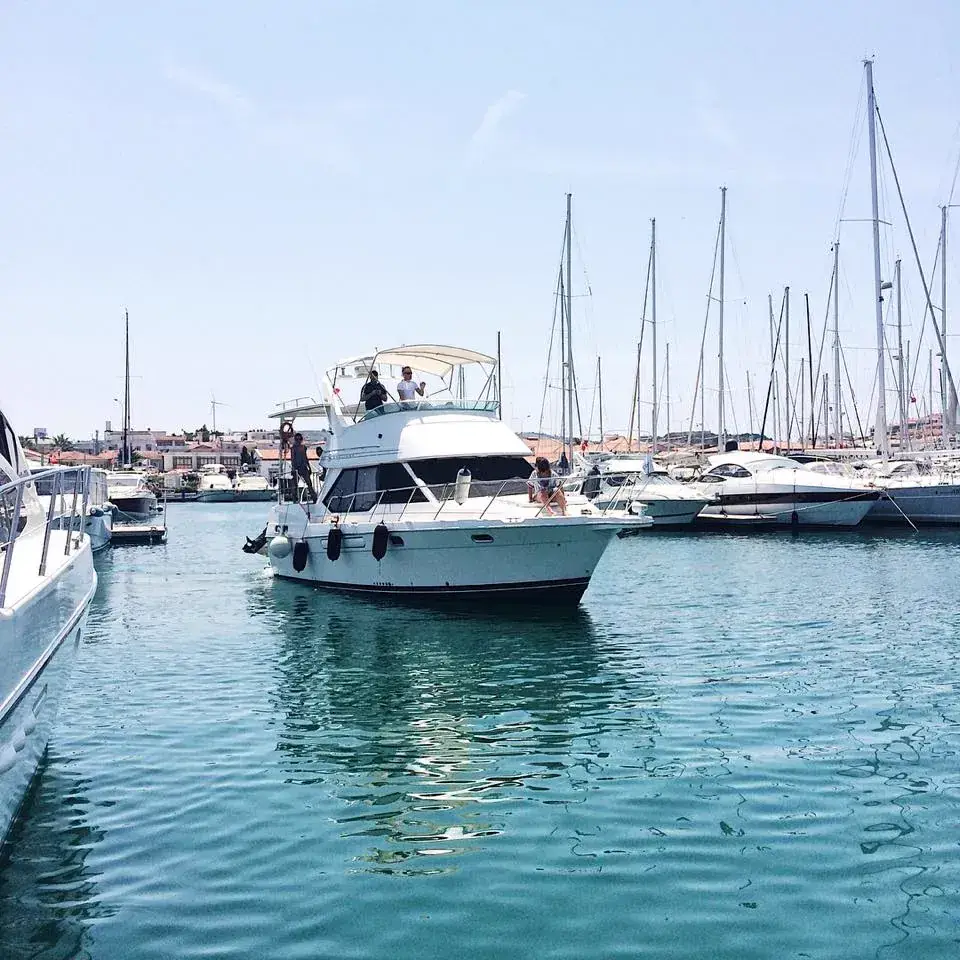 Deda Yacht BAYLINER 3587 :AFT + FLYBRIDGE fotoğraf 6