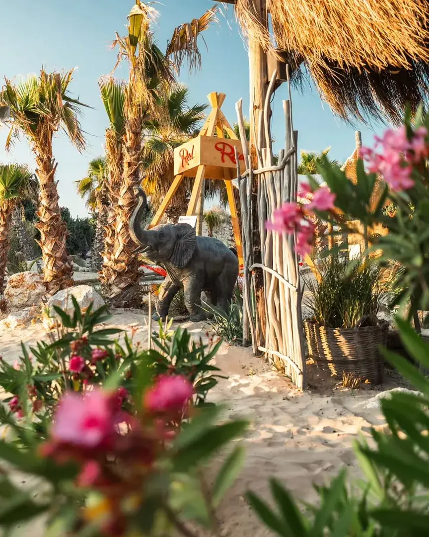 Plaj Dokuz Buçuk fotoğraf 5